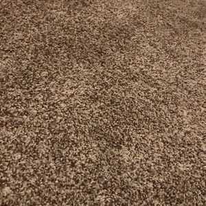 Meet your Posher, Vince